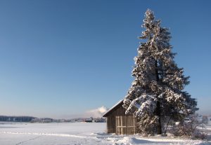 sneeuwlandschap finland